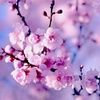 jacky_213